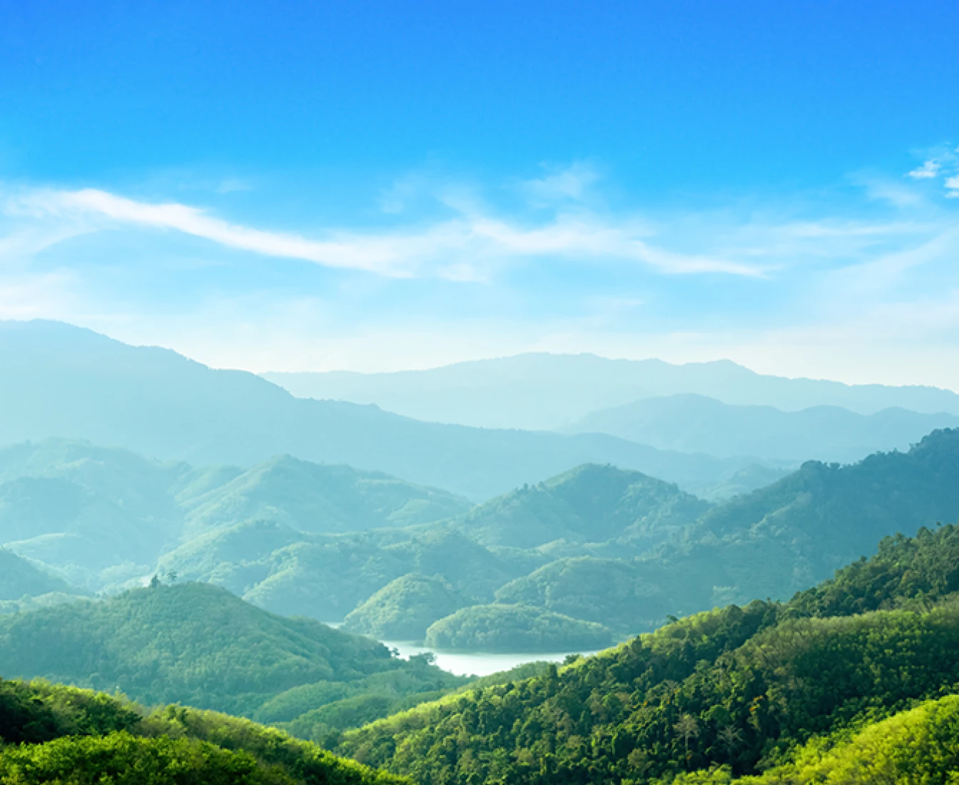 Cottonelle® Sustainability