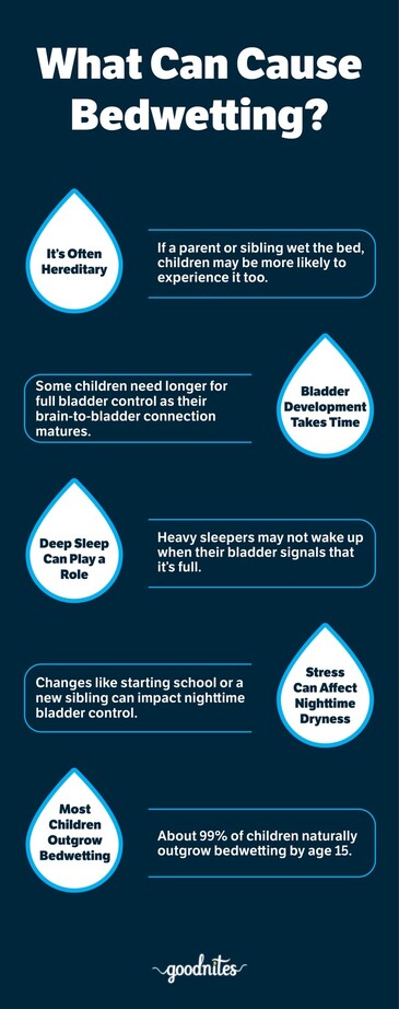 Bedwetting Causes